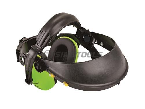 Face Shield